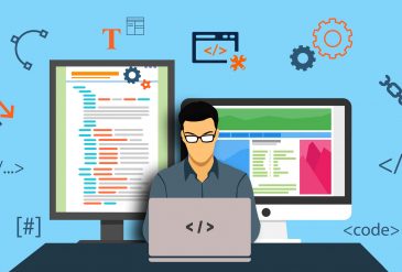 Web Development. Who are web developers